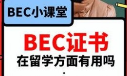 速配吃瓜最新爆料视频,最新爆料视频深度解析